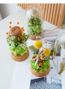 Preserved flower glass cover DIY material handmade desktop ornament warm home decoration gift