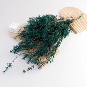 Dried melaleuca bracteata leaves natural preserved green foliage floral arrangement decor