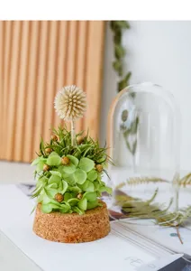 Detail view of preserved flower dandelion and hydrangea ornament on cork base for home decor gift.