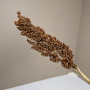 Natural dried sorghum flower stem decor branch for rustic home interior photography props.
