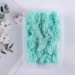 Light blue preserved pine dried flowers in clear box for DIY crafts, floral decor and gifts.