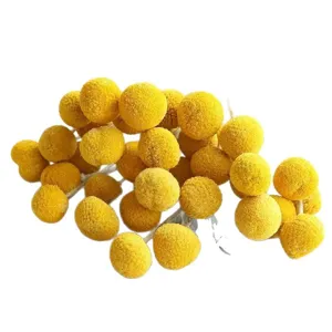 Natural dried Craspedia billy balls yellow flowers bouquet for home decor floral arrangement.