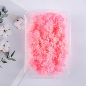 Pink preserved asparagus fern dried flowers DIY craft material box for handmade resin art decor.