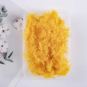 Yellow preserved asparagus fern dried flowers for DIY craft gift box decoration and accessories.
