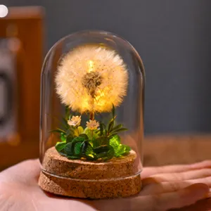 Dandelion glass dome night light eternal dried flower romantic gift for girlfriend women