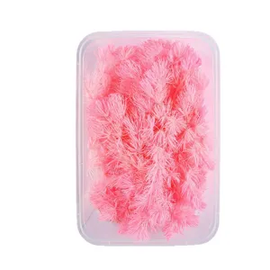 Pink preserved ming fern dried flowers in clear box for DIY crafts and aromatherapy decor.
