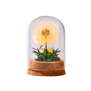 Dandelion preserved flower glass dome night light romantic gift for birthday and home decor