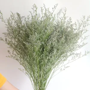 Φυσικά Αποξηραμένα Λουλούδια Limonium Διατηρημένο Μπουκέτο Λουλουδιών Για Διακόσμηση Σπιτιού Συσκευές Φωτογραφίας DIY Χειροτεχνίες