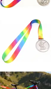 Detailansicht mit dem bunten Regenbogen Farbverlauf Band und der klassischen Metall Medaille.