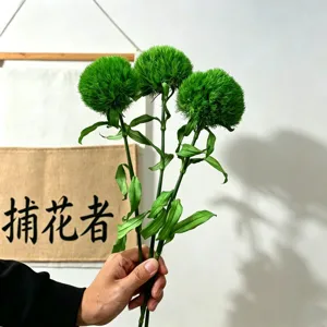 Green ball flower preserved flower bouquet for home floral arrangement and room decor