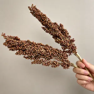 Natural dried sorghum plant flower bouquet for Nordic home decor and photography props.