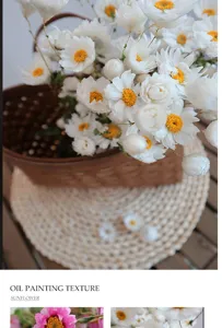 Dried flower white daisy bouquet ins style natural floral arrangement home decor table centerpiece