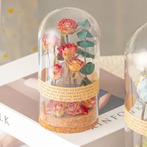 Geconserveerde roos gedroogde bloem glazen koepel cadeau voor vrouw moeder verjaardag decor
