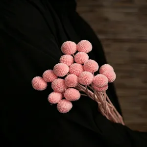 Bouquet di fiori secchi Craspedia rosa colore macaron fiori sferici decorazioni floreali fai da te