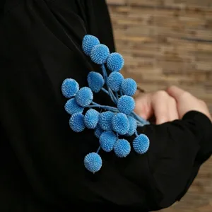 Mazzo di fiori di craspedia essiccati blu per progetti fai da te e decorazioni floreali.