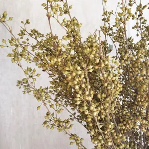 Natural dried millet fruit branches floral material bouquet DIY aromatherapy candle decor