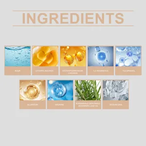 Hair care product core ingredients detail infographic chart displaying essential formula components.