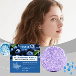 HOEGOA barre de shampooing aux myrtilles, nettoyage doux du cuir chevelu, bio 60g.