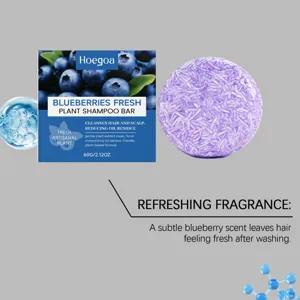 Hoegoa shampooing solide a la myrtille extrait vegetal controle du sebum cheveux 60g