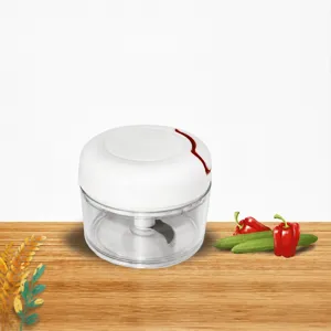 Manual Vegetable Chopper Mini Garlic Mincer Hand Powered Food Slicer Garlic Press Household Kitchen Tool