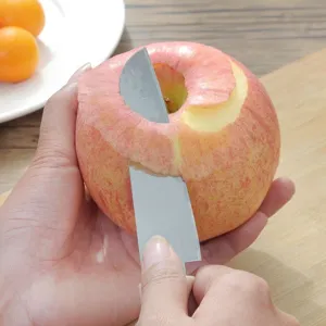 Coltello pelapatate da cucina in acciaio inossidabile per tagliare e sbucciare frutta a casa.