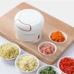 Portable manual garlic chopper and mini food processor for kitchen vegetable mincing.