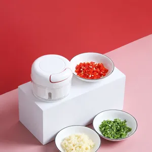 Mini manual garlic chopper household kitchen tool for mincing vegetables and meat efficiently.