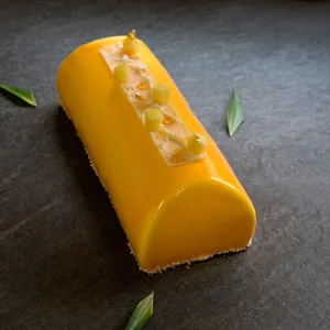 Long strip silicone mousse cake mold detail shot, exquisite dessert baking accessory view.