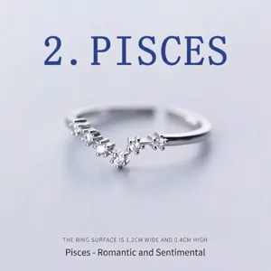 Detailed macro view of silver plated Pisces constellation ring with sparkling zircons