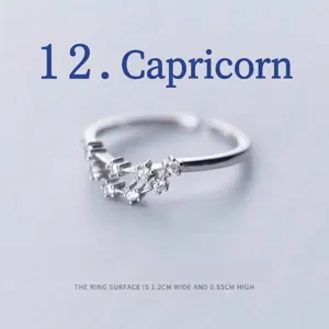 Close-up of silver-plated Capricorn zodiac ring with sparkling cubic zirconia stones.
