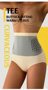 Detailed view of high-waisted seamless shaping briefs with tummy control and breathable fabric.
