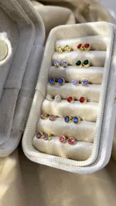Collectie kleurrijke minimalistische ronde oorknopjes in een luxe fluwelen juwelendoos