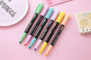 Set mit sechs pastellfarbenen Doppelender-Textmarkern für kreatives Bullet Journaling