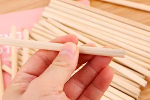 Close-up of a hand holding a natural unpainted wood pencil showing wood texture