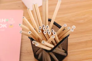 Close-up of raw wood HB pencils in a black mesh holder on a desk