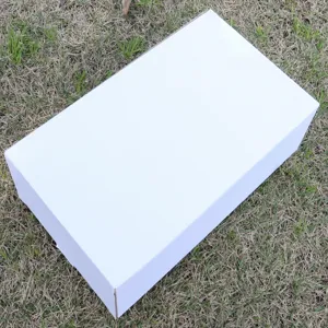 Vista dettagliata del prodotto di imballaggio in cartone bianco per spedizione o stoccaggio sicuro.
