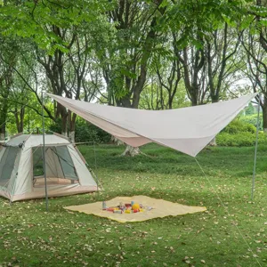 Detail de scene de camping en plein air montrant une bache d'ombrage sur pelouse.