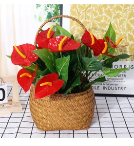 Artificial anthurium plant in woven basket, realistic fake flowers for home and hotel decor.