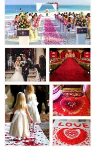 Artificial rose petals made of non-woven fabric for wedding decoration, party, and romantic events.