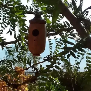 Nido de pájaro colgante de madera para jardín exterior decoración miniatura casita