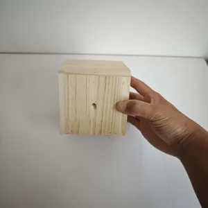 Wooden carpenter bee trap detail view, natural wood block with central entry hole for pest control.