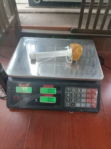 Grappige poep zwembadthermometer drijvende watertemperatuurtester voor buitenzwembaden.