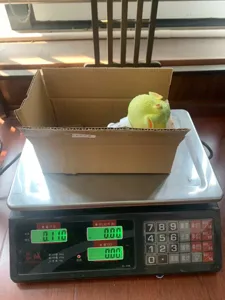 Gedetailleerd overzicht van grappige poep zwembadthermometer, vorm en gewichtscontrole.