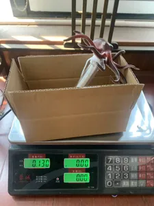 Drijvende octopus zwembadthermometer en leuk schattig waterspeeltje voor de zomer.