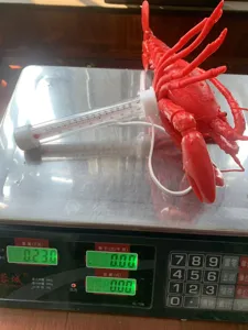Rode kreeft zwembad thermometer detail met drijvend ontwerp en duidelijke schaal voor water.