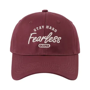 Gorra de béisbol bordada retro con corona suave para hombres y mujeres, estilo urbano moderno.