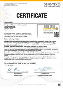 Official OEKO-TEX Standard 100 certificate for textile carpet ensuring ecological safety.