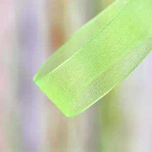 Detailed shot of a light green sheer organza ribbon, perfect for gift wrapping and flower bows.