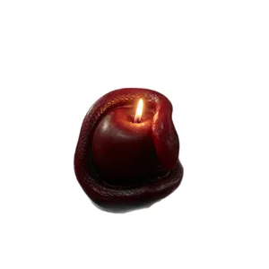 Dark gothic apple and snake scented candle natural soy wax unique home decor Halloween gift