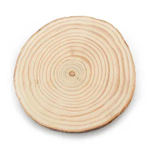Natural wood slice coaster and tray for aromatherapy candles with clear tree ring texture.